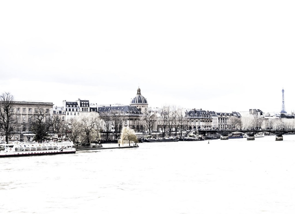 Vue des bords de la Seine à Paris (Photo)