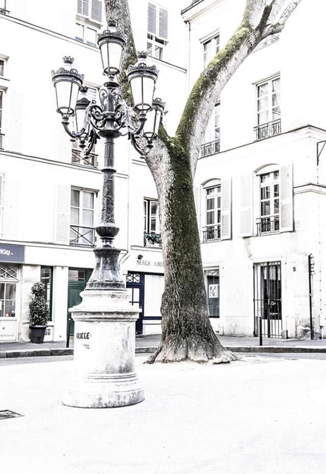 Musée Eugène Delacroix, Place Furstenberg à Paris (Photo Arbre)