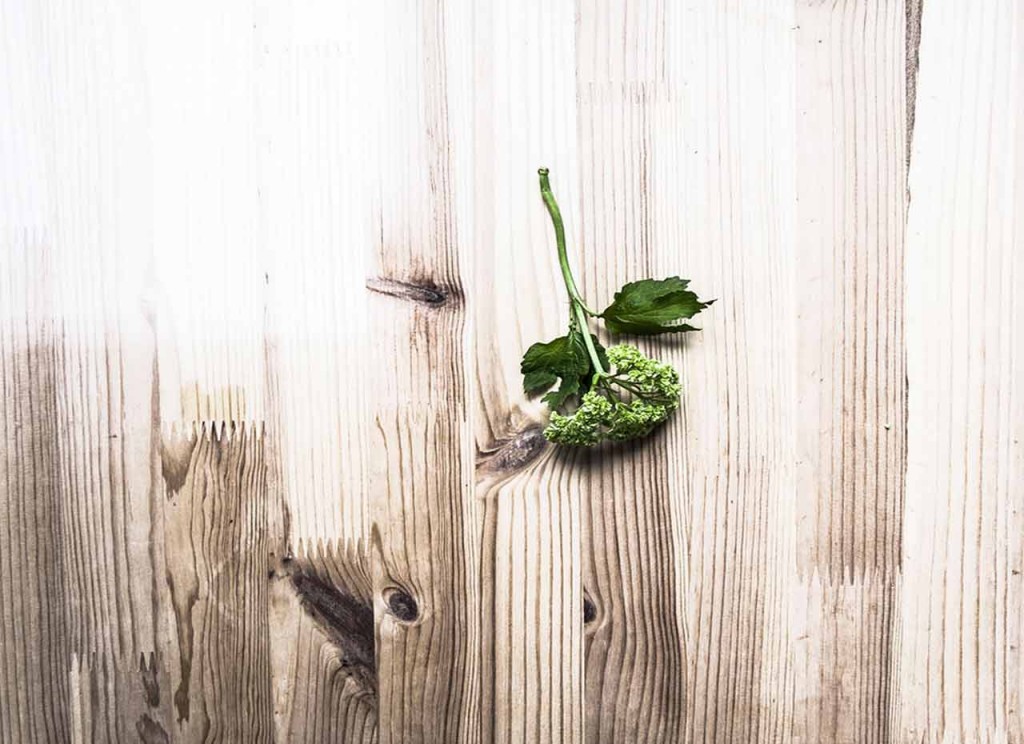 Green Foliage on wood table