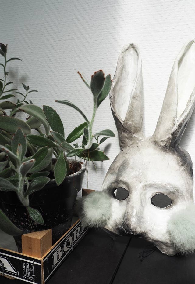 Rabbit ear green plant and a theatre rabbit mask