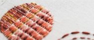 ( BACKSTITCH )