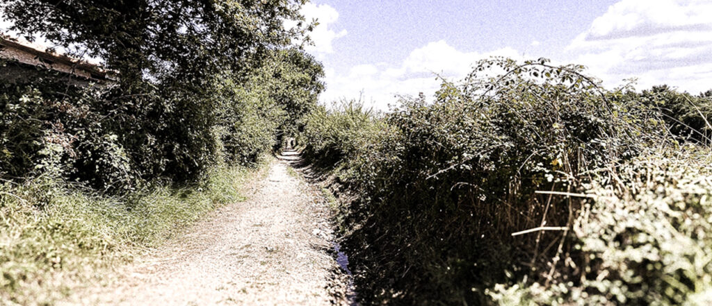 Walking the Path