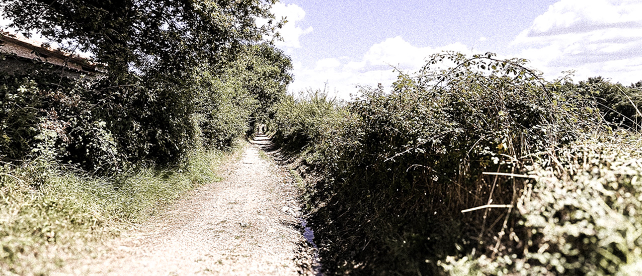 Walking the Path