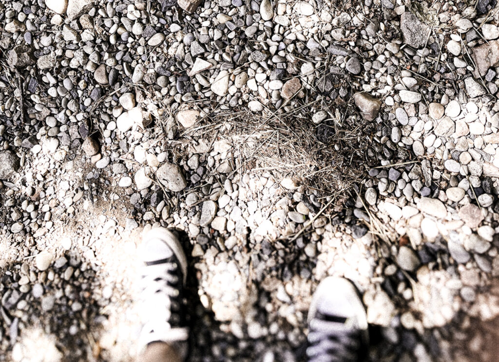 A steady path to follow.