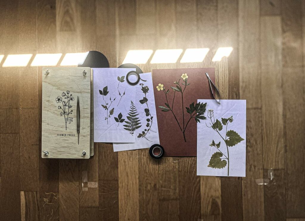 A pressed flower as a memory made visible. Its paper-thin petals folded into the memory of wind.