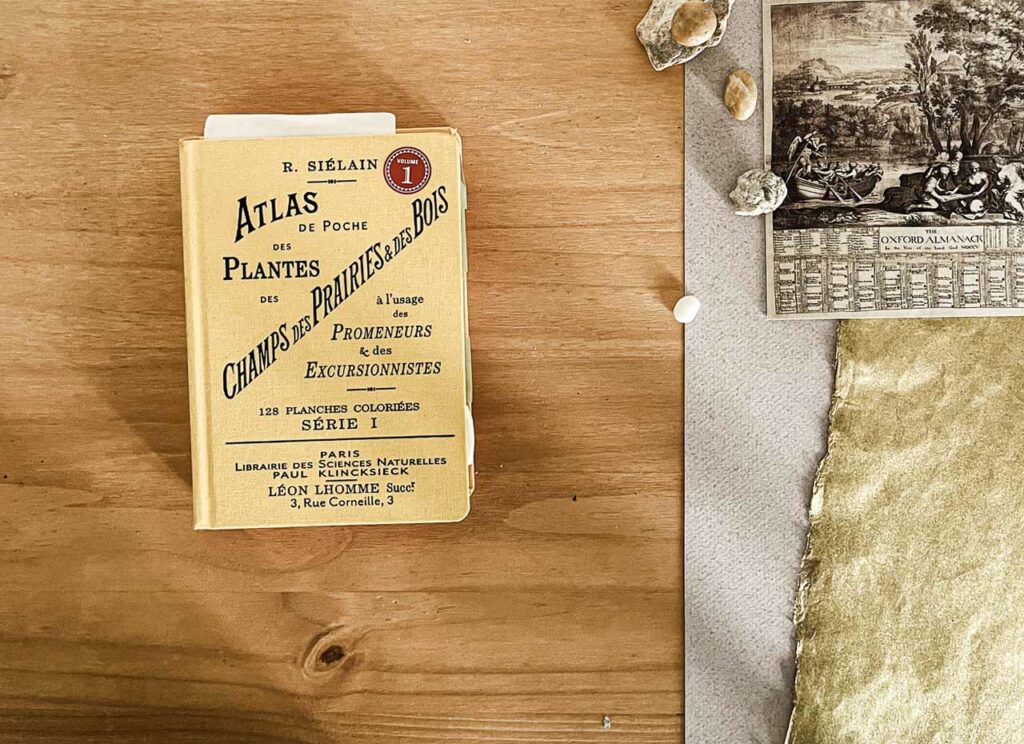 Atlas de poche des plantes des champs et des prairies et des bois à l'usage des promeneurs et des excursionnistes.