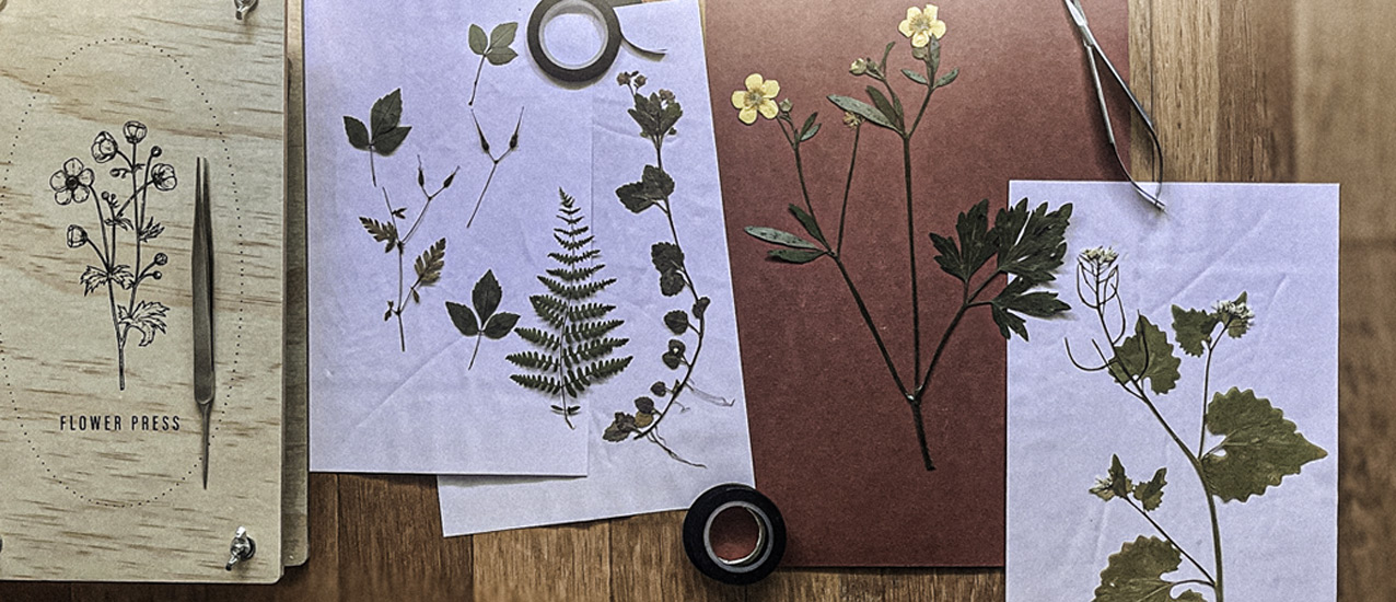 How to Press Flowers and Keep Summer’s Wandering Moments in a Sketchbook