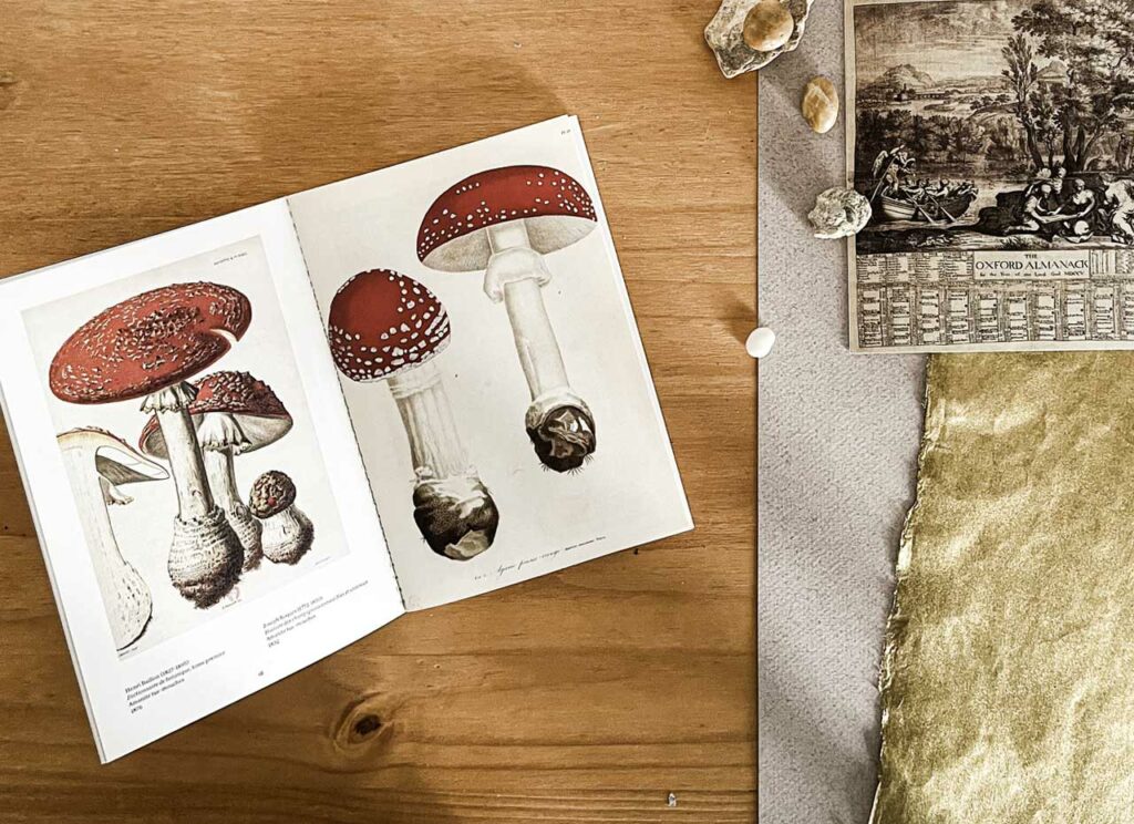 Plantes magiques, vertus et sortilèges de la nature. ouvert à la page des champignons vénéneux.