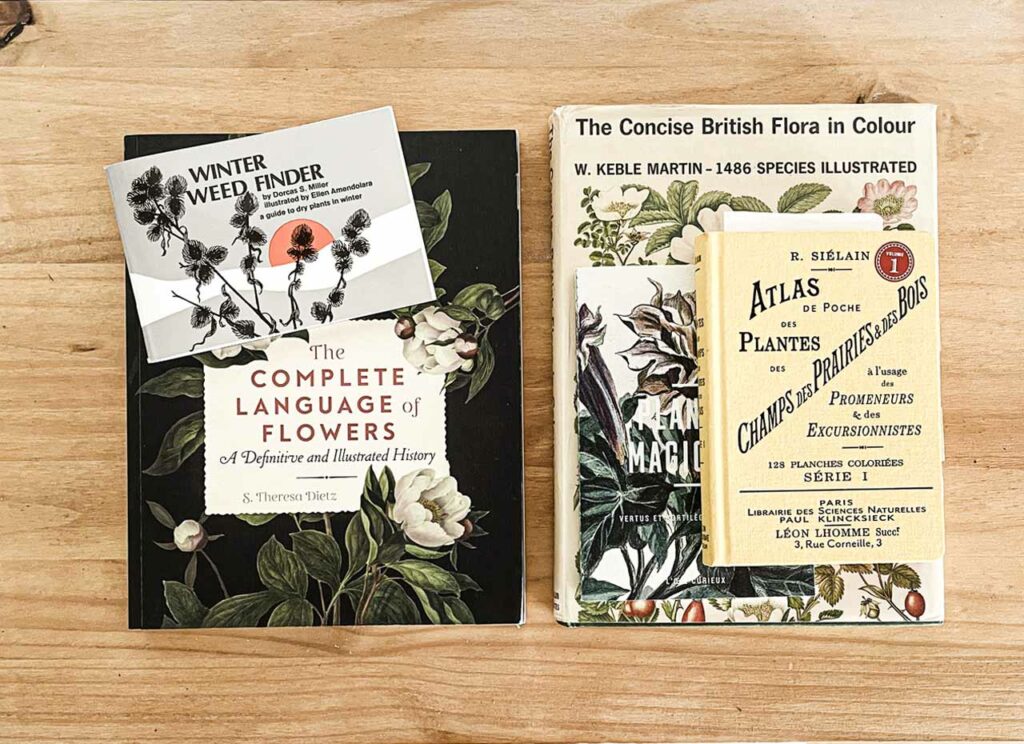 The 5 books presented in the article.