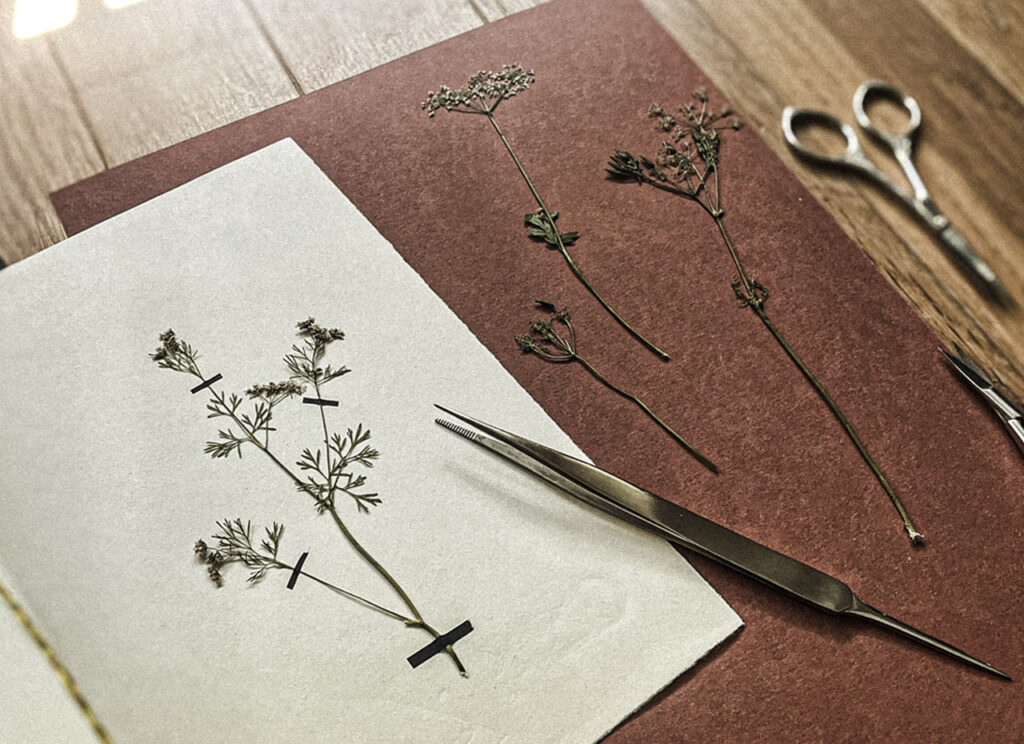 The table is strewn with what was: stem clippings, a forgotten petal edge, scissors catching the light.