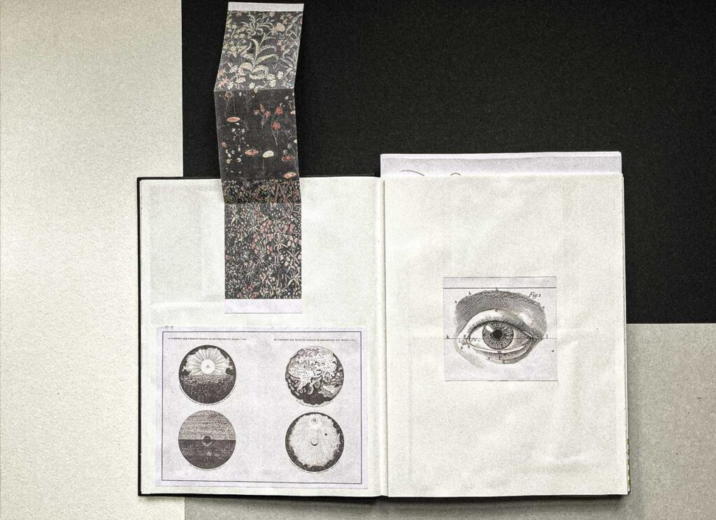 It holds hidden patterns, small discoveries, an intimate secret kept for those who seek beyond the surface