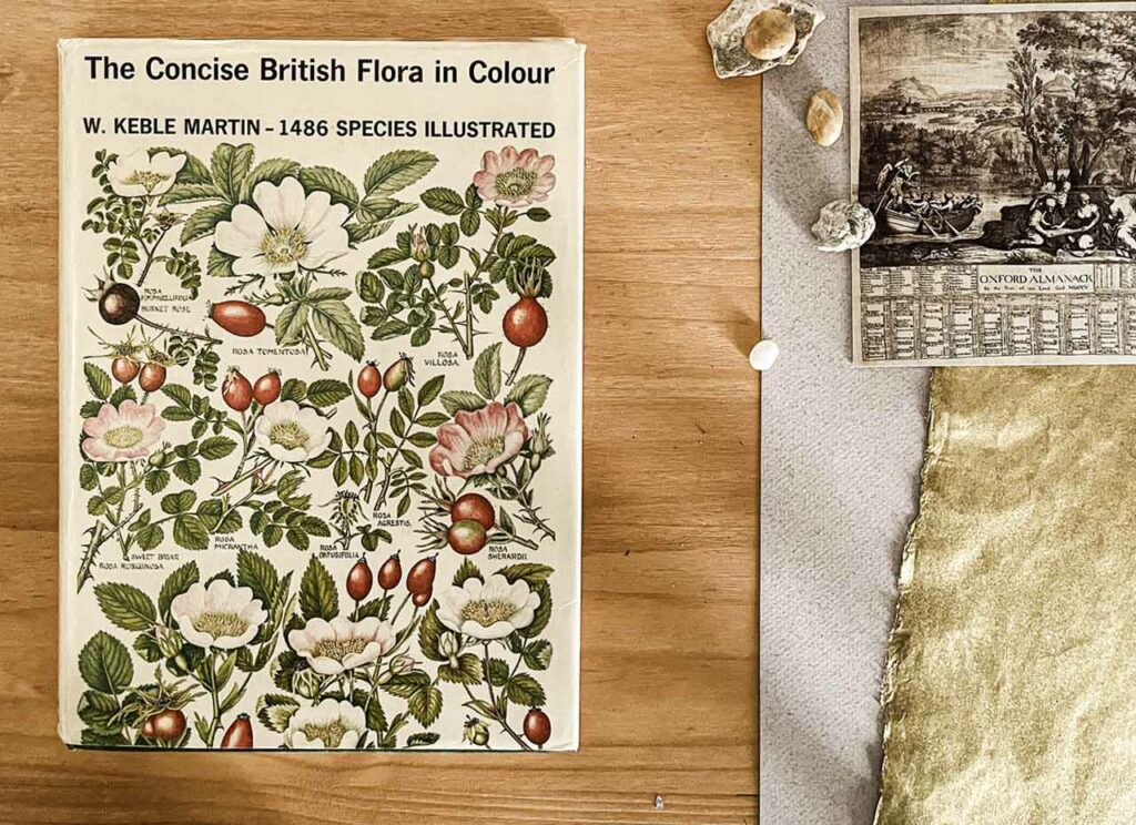 Book The Concise British Flora in Colour
