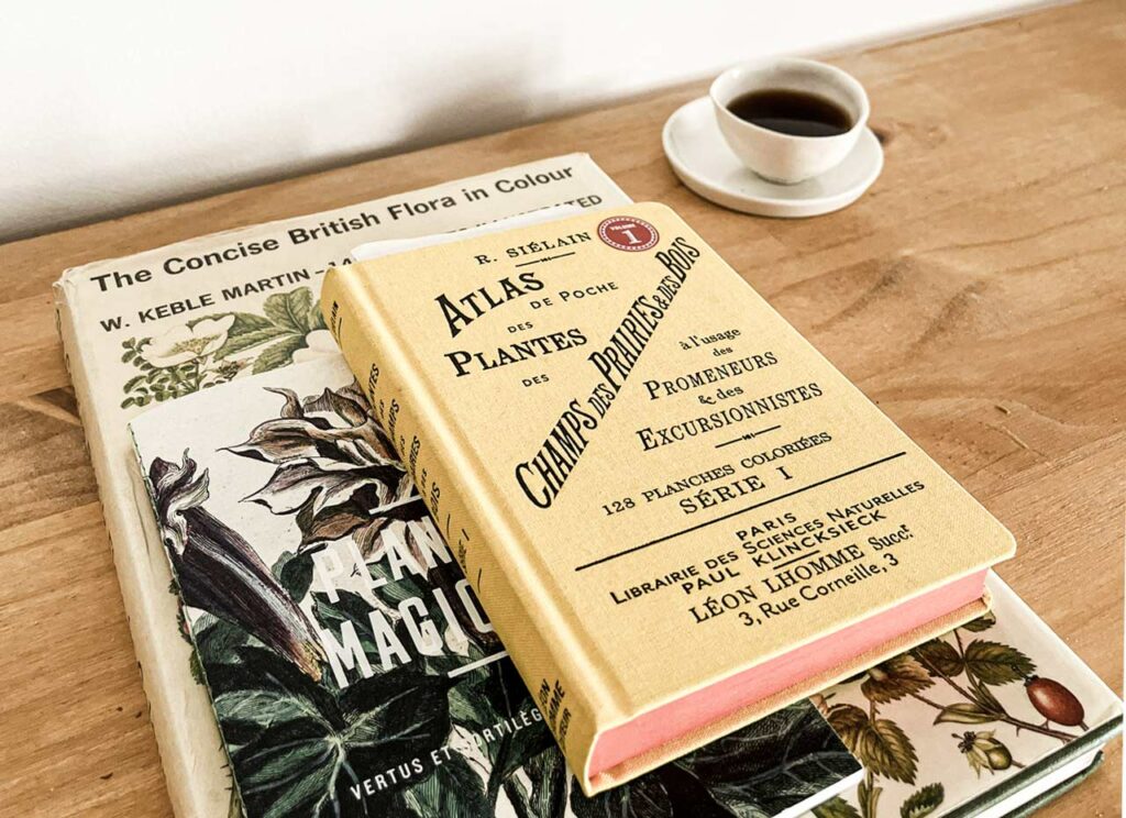 matin commence lentement, une petite tasse de café refroidit près d’un livre ouvert. Les doigts de (NØ) glissent doucement sur la page.