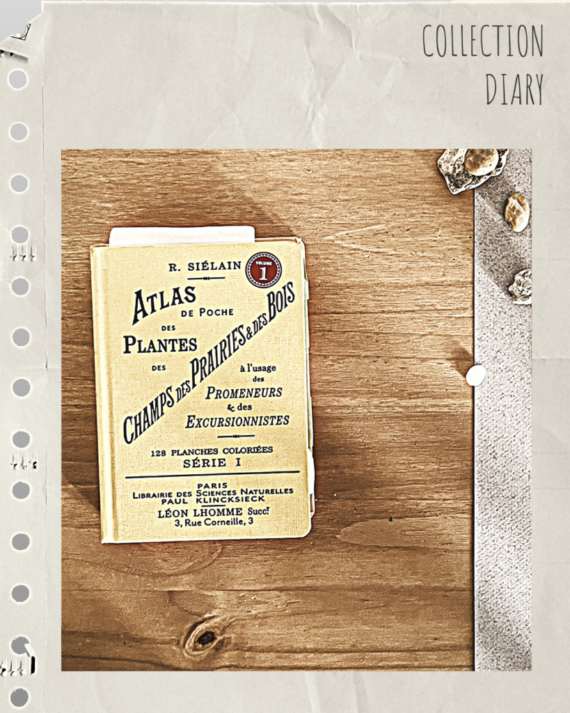 Atlas de poches des plantes des champs, des prairies et des bois, closed book on the desk, waiting to be open