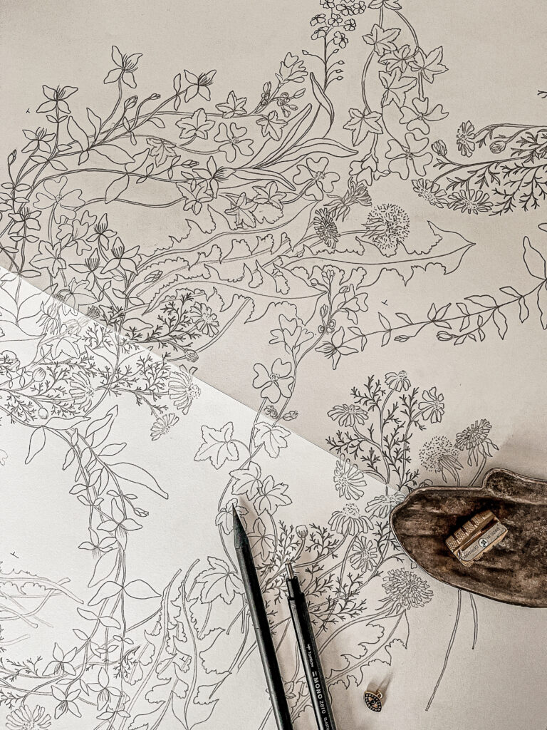 close-up of a wildflowers sketch