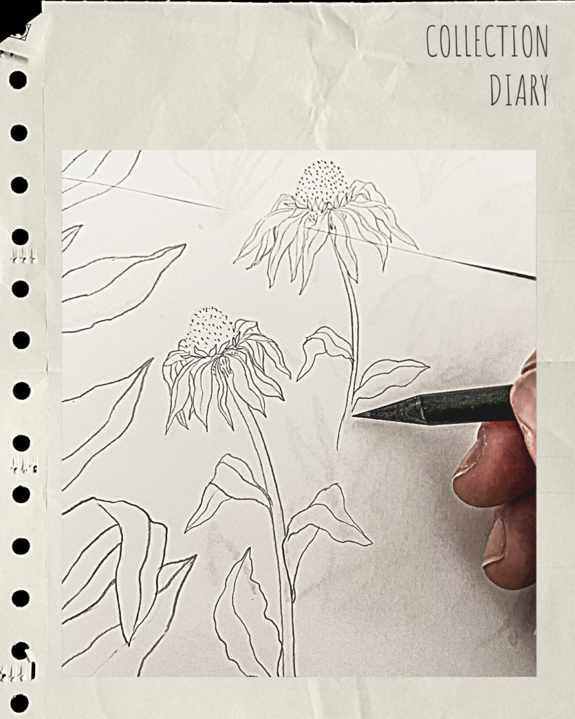 Echinacea